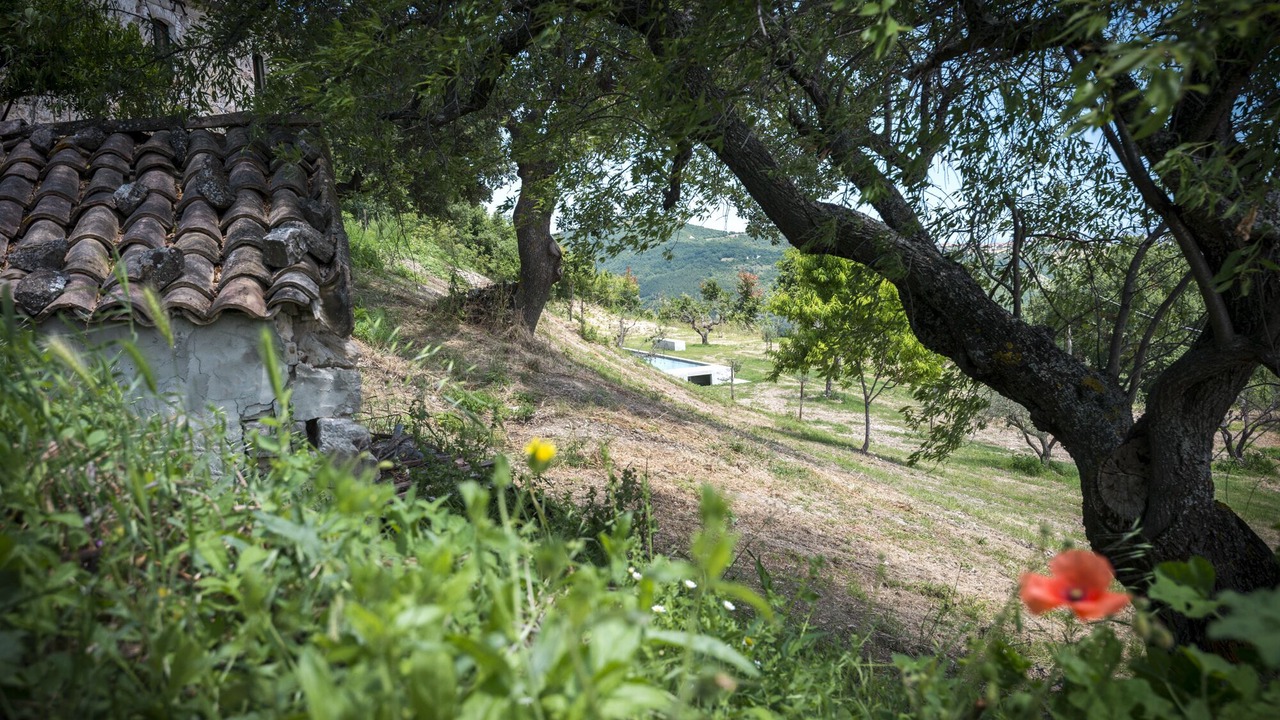 Photo of Outdoor in Palmoli