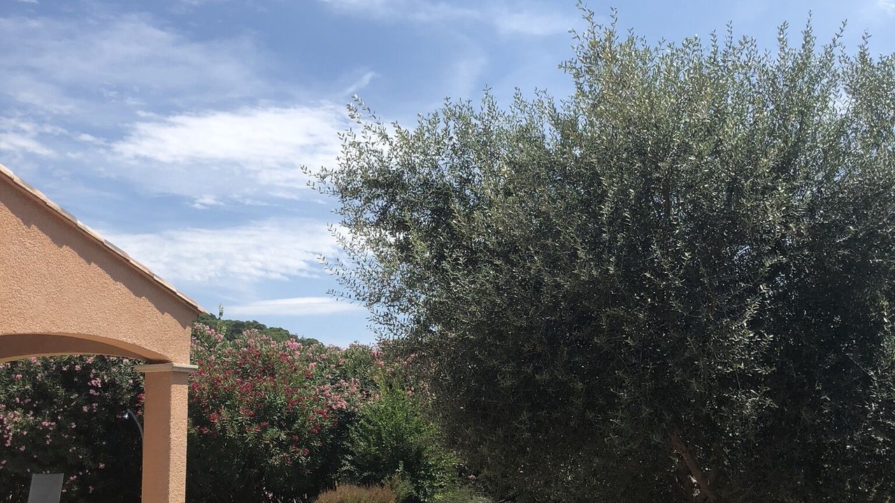 Photo of Outdoor in Lorgues