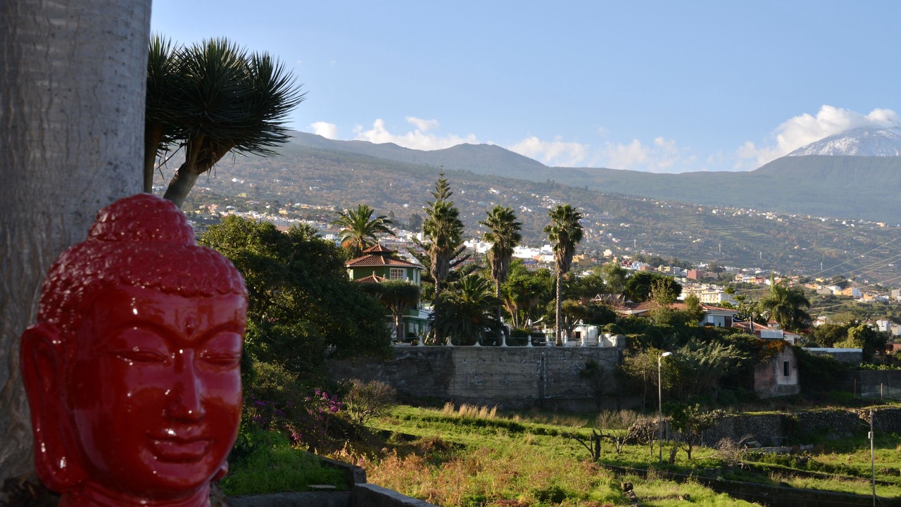 Photo of Outdoor in Las Cuevas