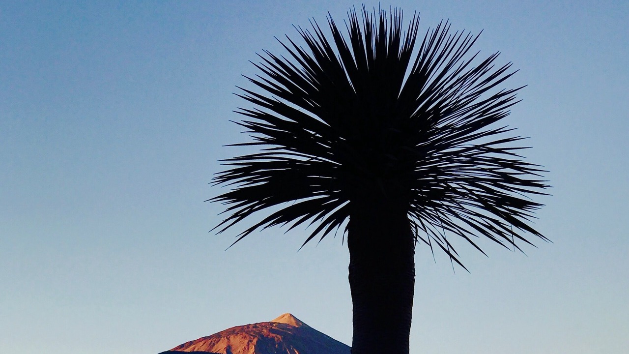 Photo of Outdoor in Las Cuevas