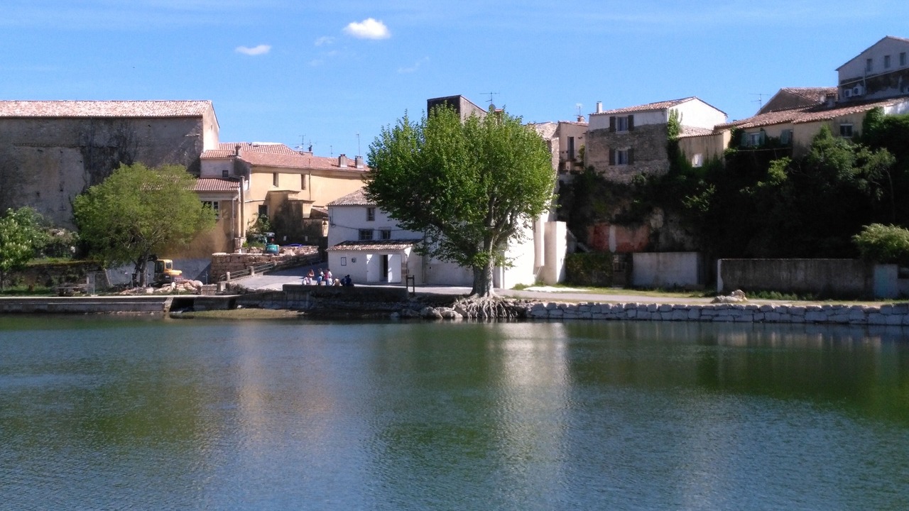 Photo of Others in Besse-sur-Issole