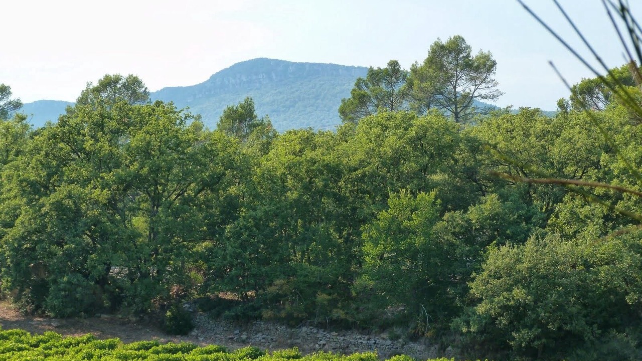 Photo of Others in Besse-sur-Issole