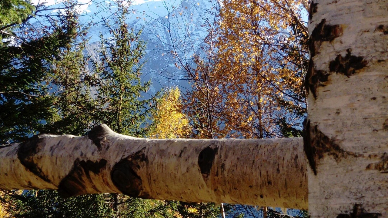 Photo of Outdoor in Servoz