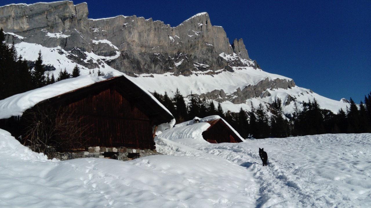 Photo of Outdoor in Servoz