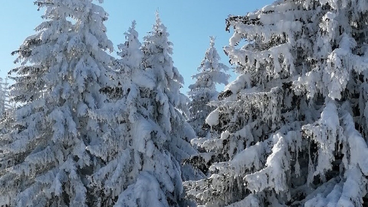 Photo of Outdoor in Thones