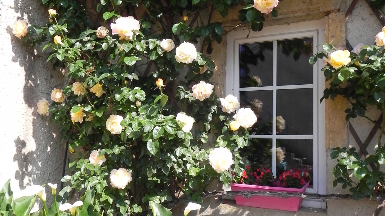 Photo of Outdoor in L'Hopital-le-Mercier