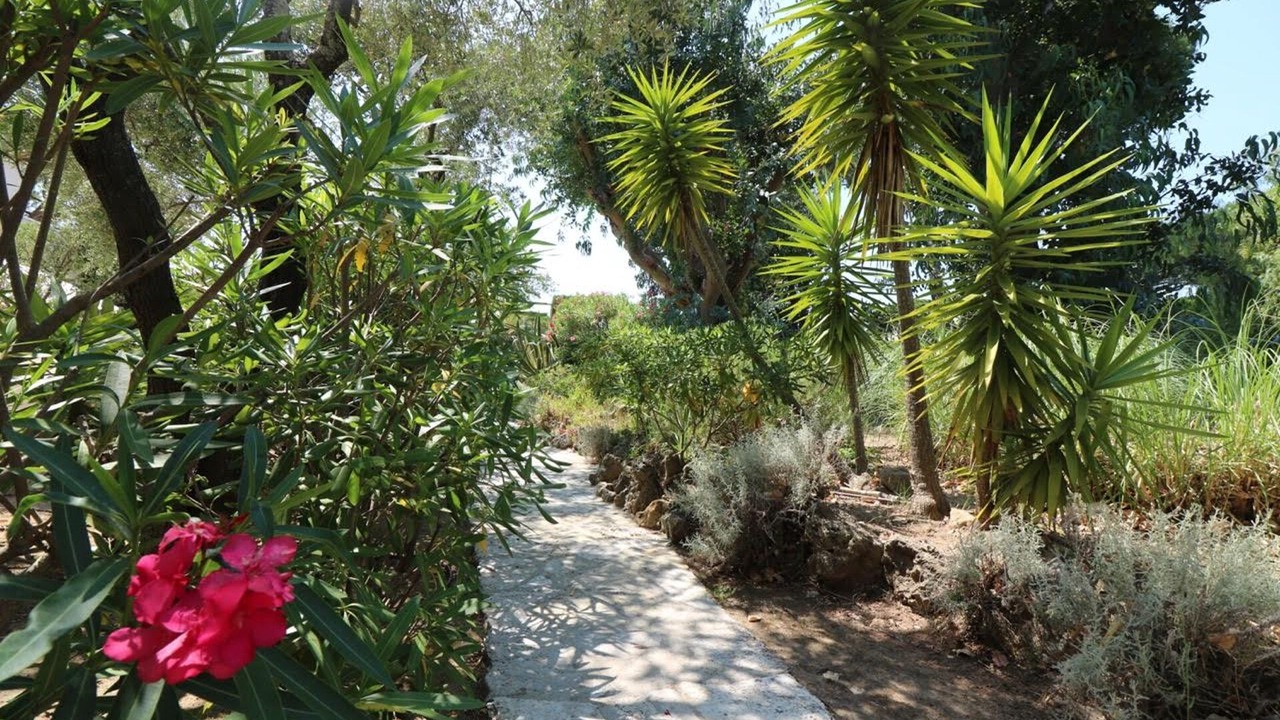 Photo of Outdoor in Cote d'Azur- French Riviera