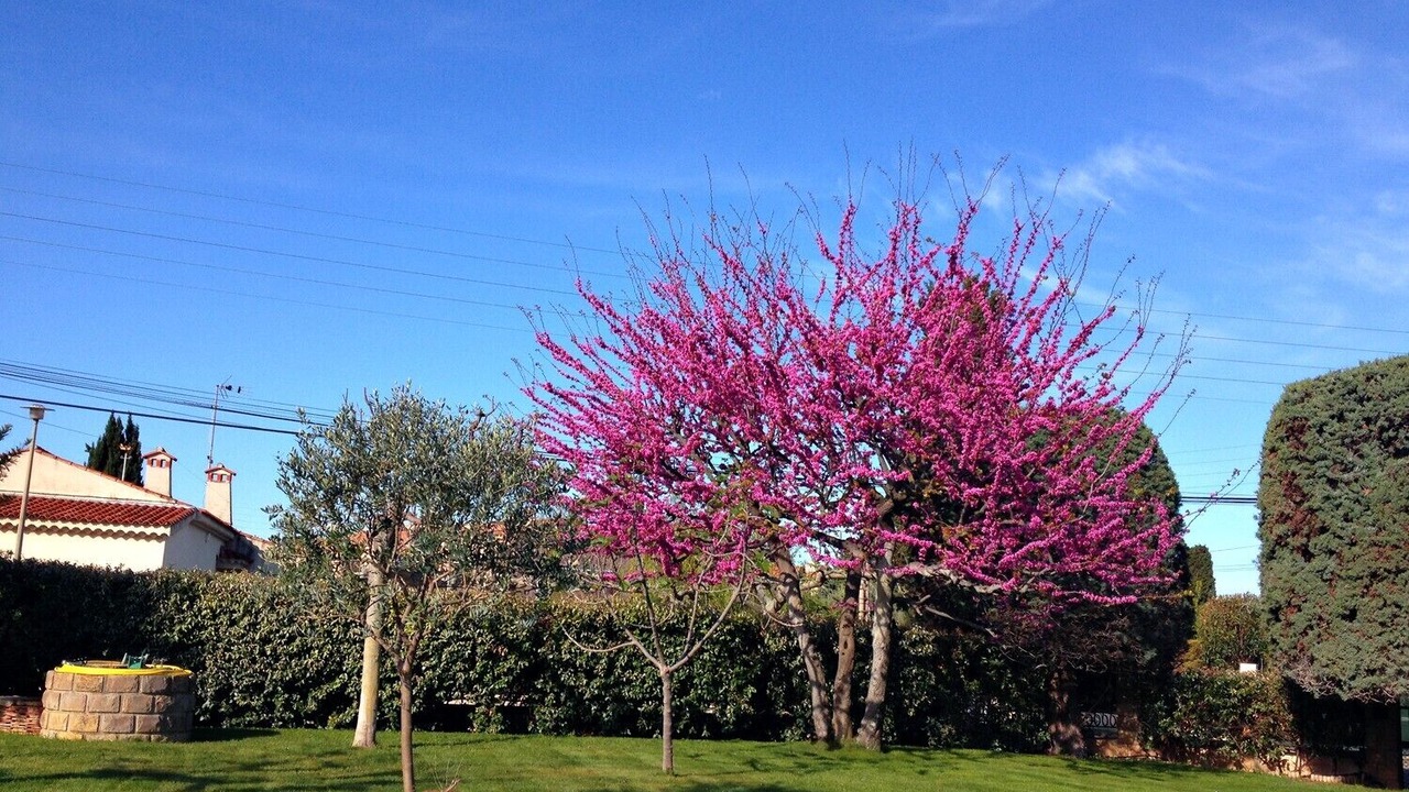 Photo of Outdoor in Saint-Cyr-sur-Mer