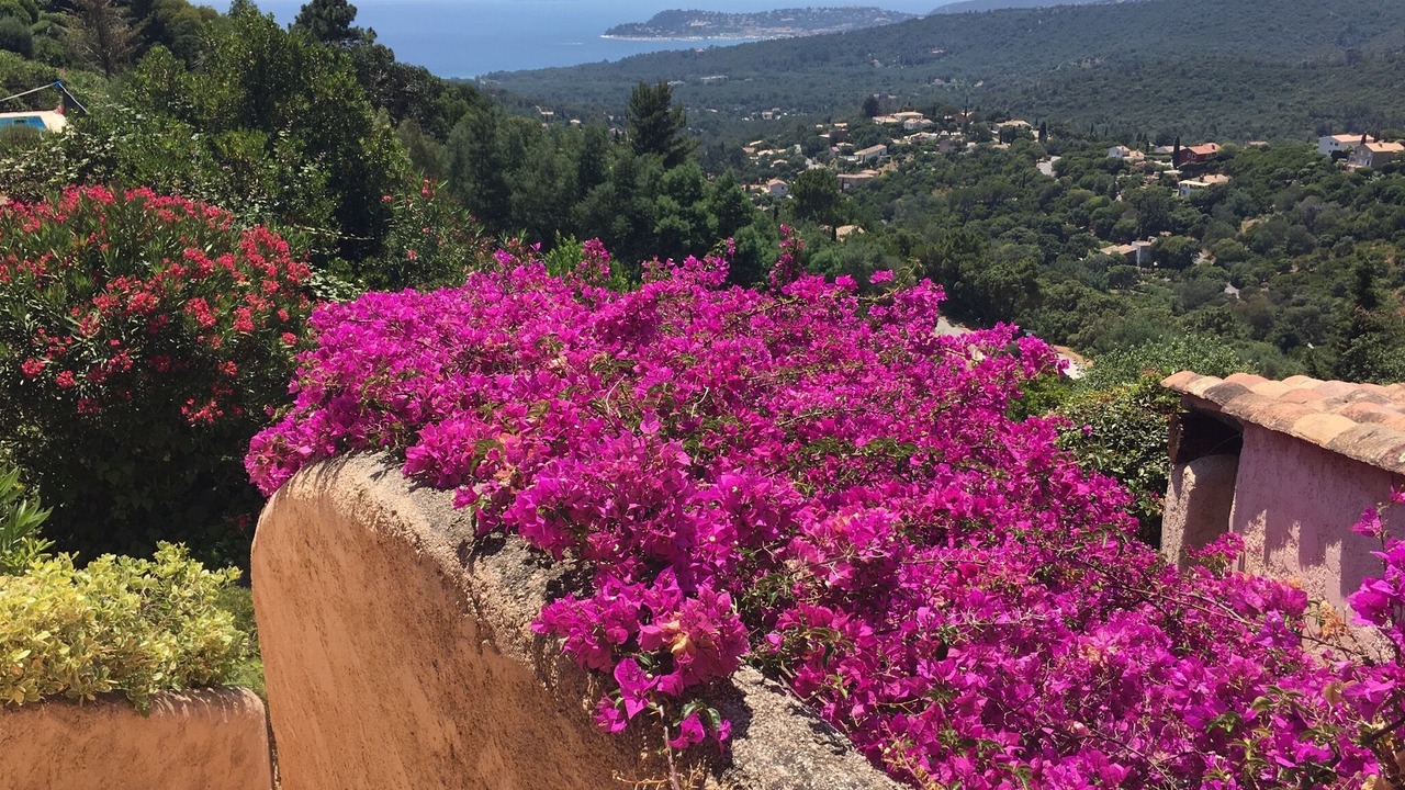 Photo of Outdoor in La Croix-Valmer