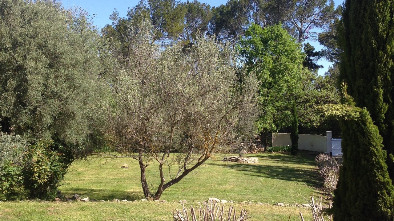 Photo of Outdoor in Besse-sur-Issole