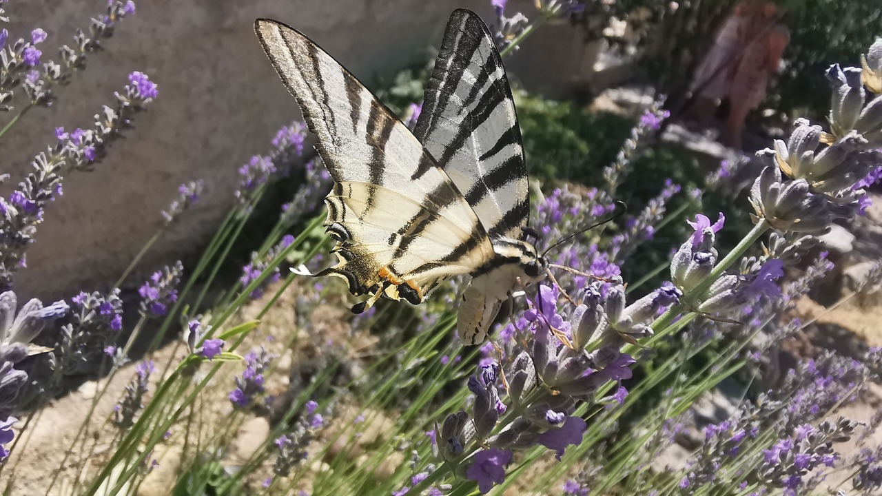 Photo of Outdoor in Montagnac-Montpezat