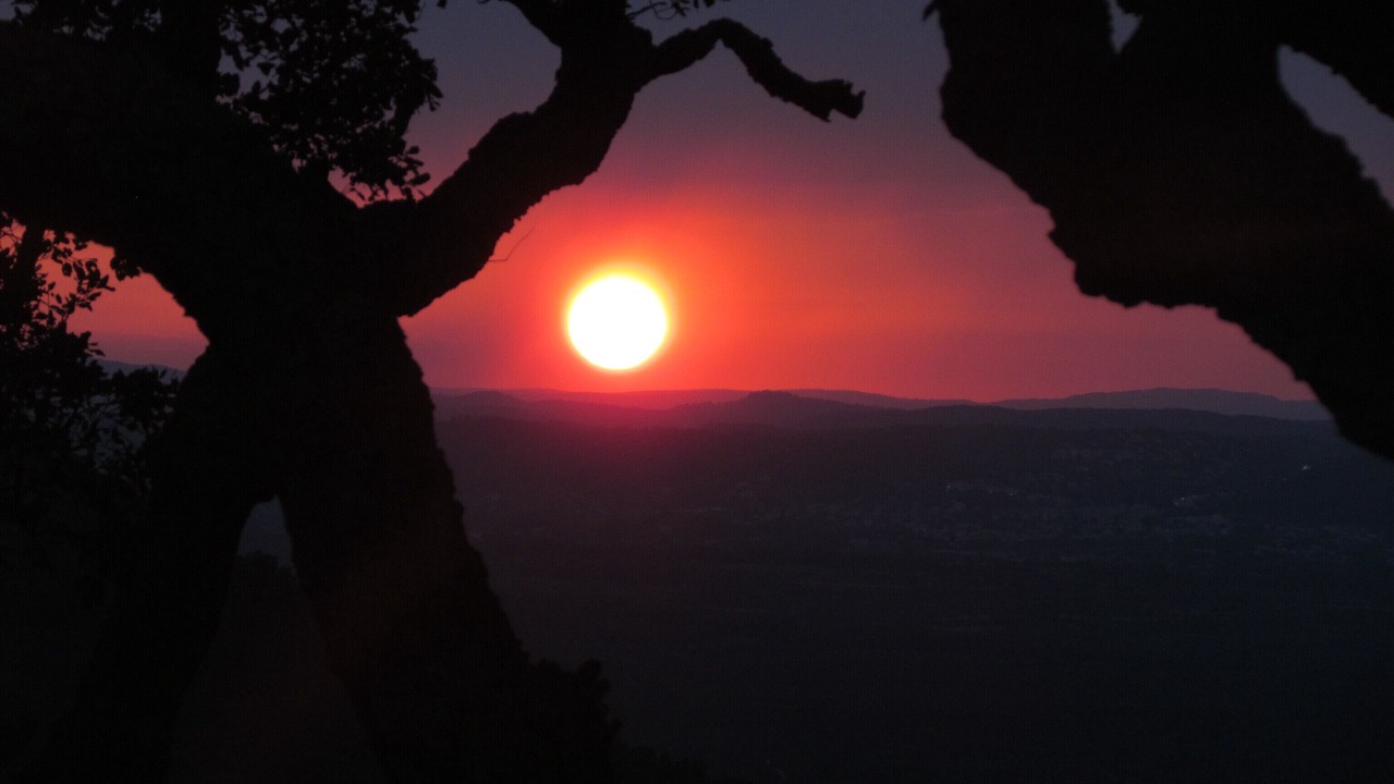 Photo of Others in La Garde-Freinet