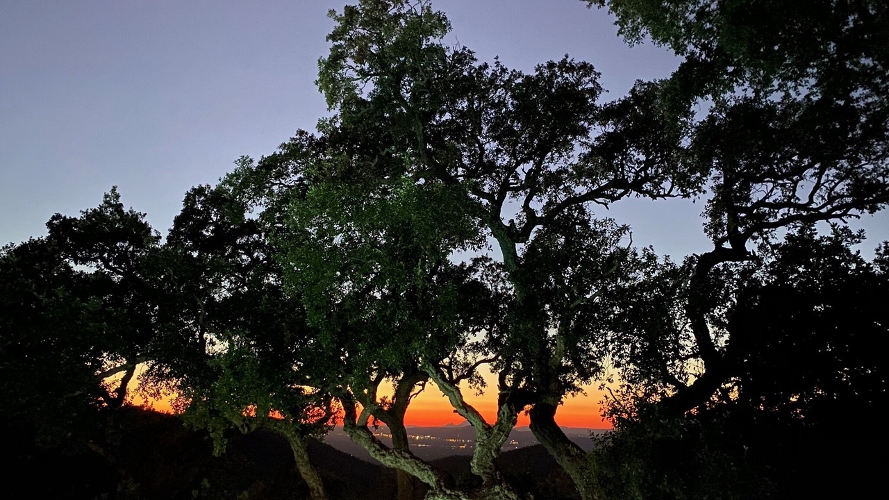 Photo of Outdoor in La Garde-Freinet