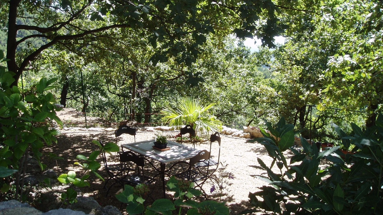 Photo of Outdoor in Seillans