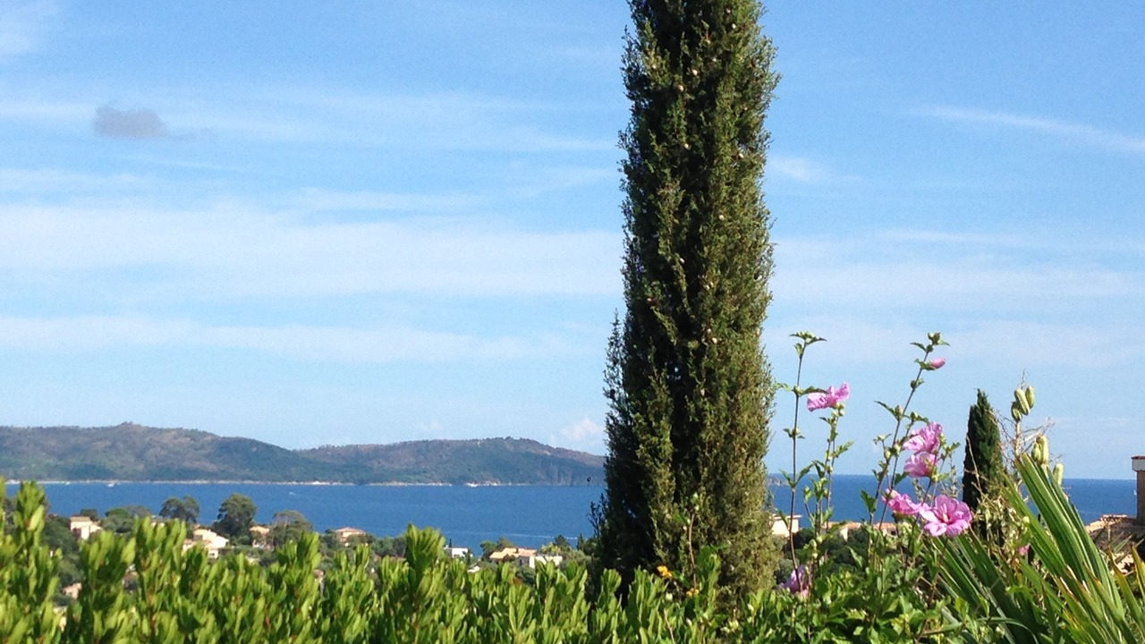 Photo of Others in Cavalaire-sur-Mer