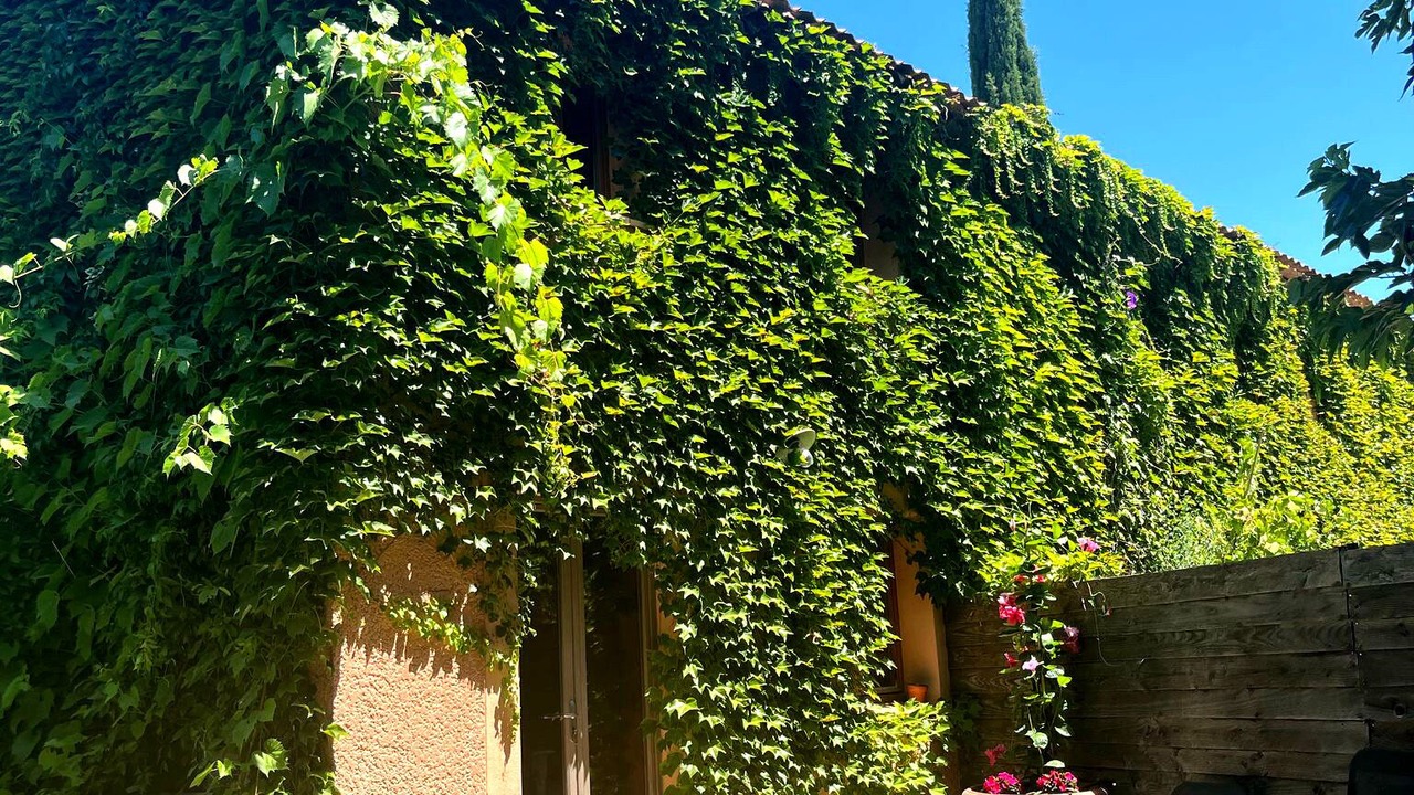 Photo of Outdoor in Cadenet