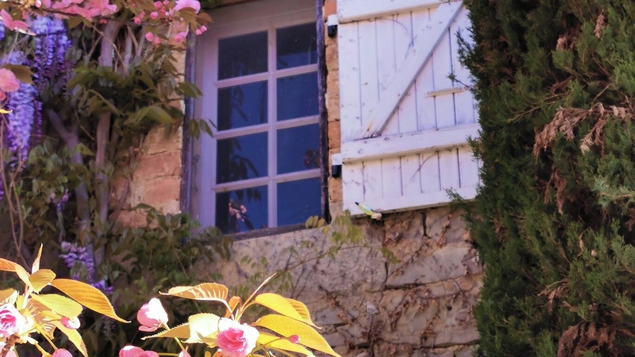 Photo of Outdoor in Saint-Cesaire-de-Gauzignan