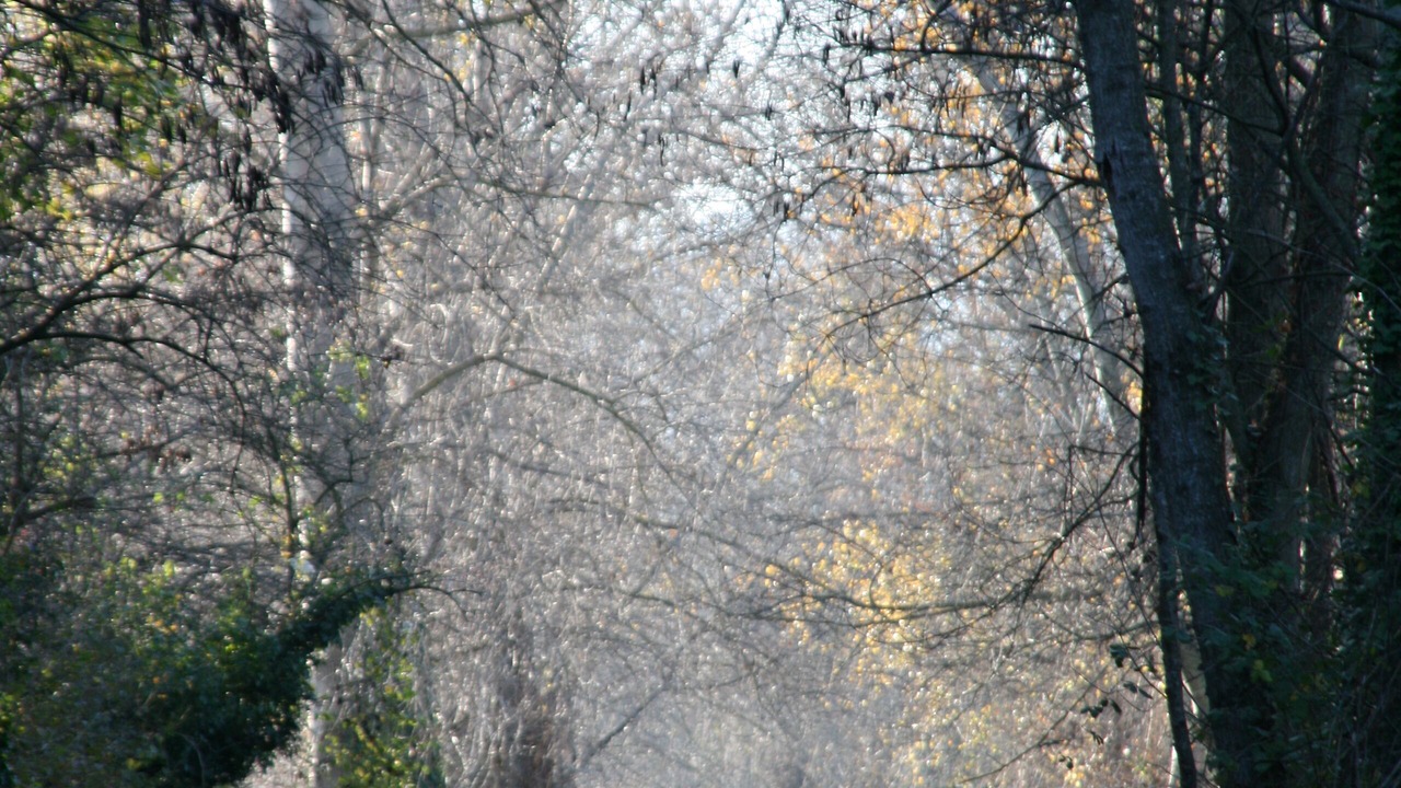 Photo of Outdoor in Bourg-Saint-Andeol