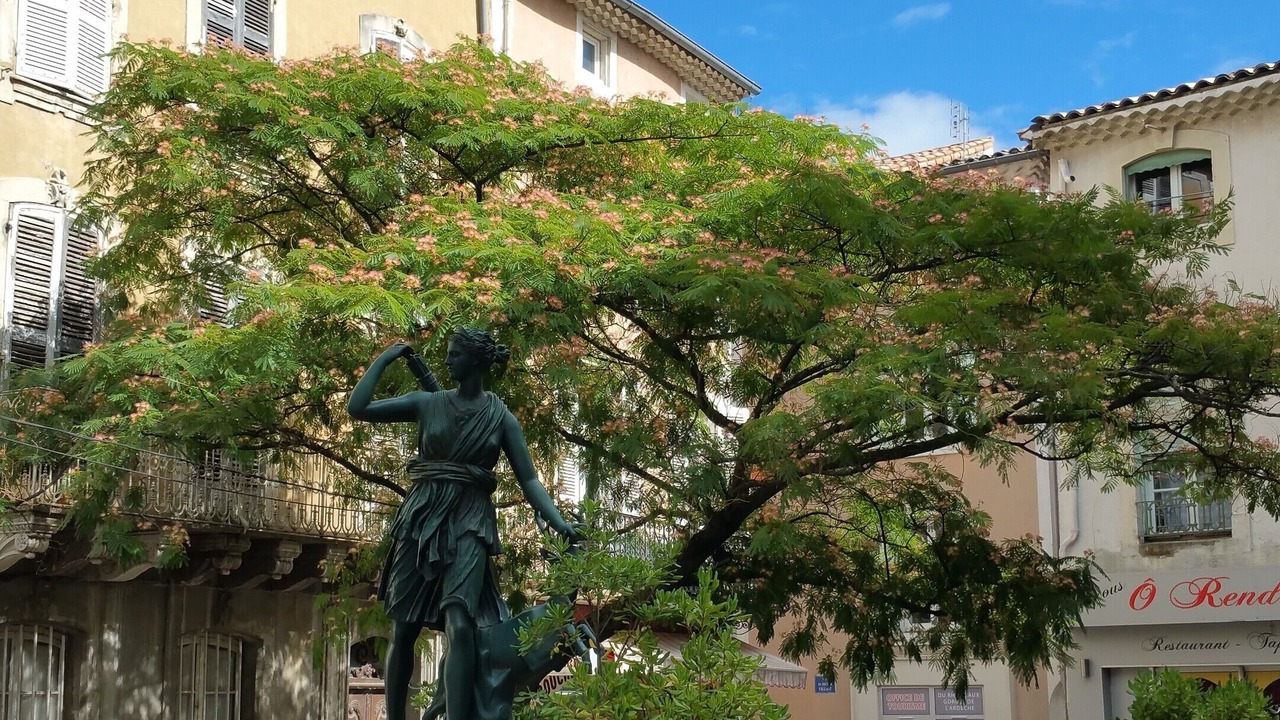 Photo of Outdoor in Bourg-Saint-Andeol