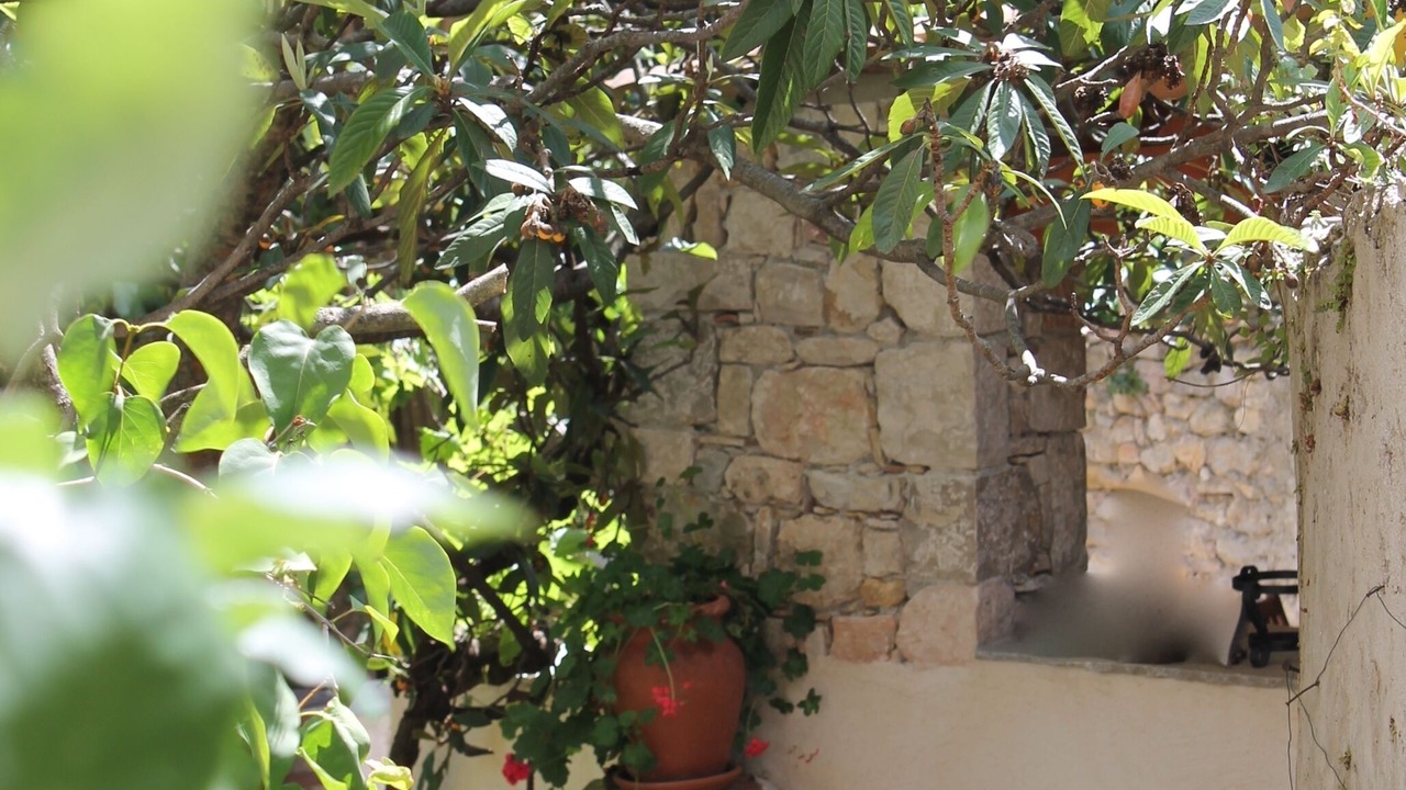 Photo of Outdoor in Seillans