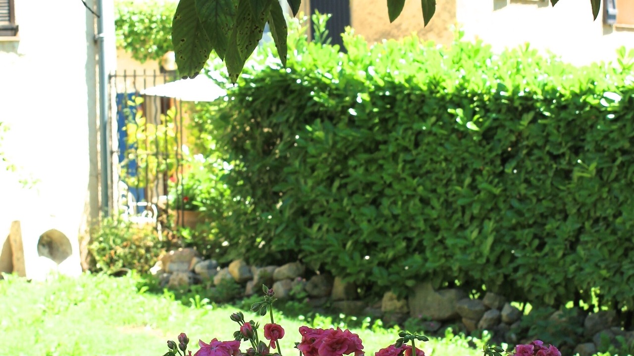 Photo of Outdoor in Seillans