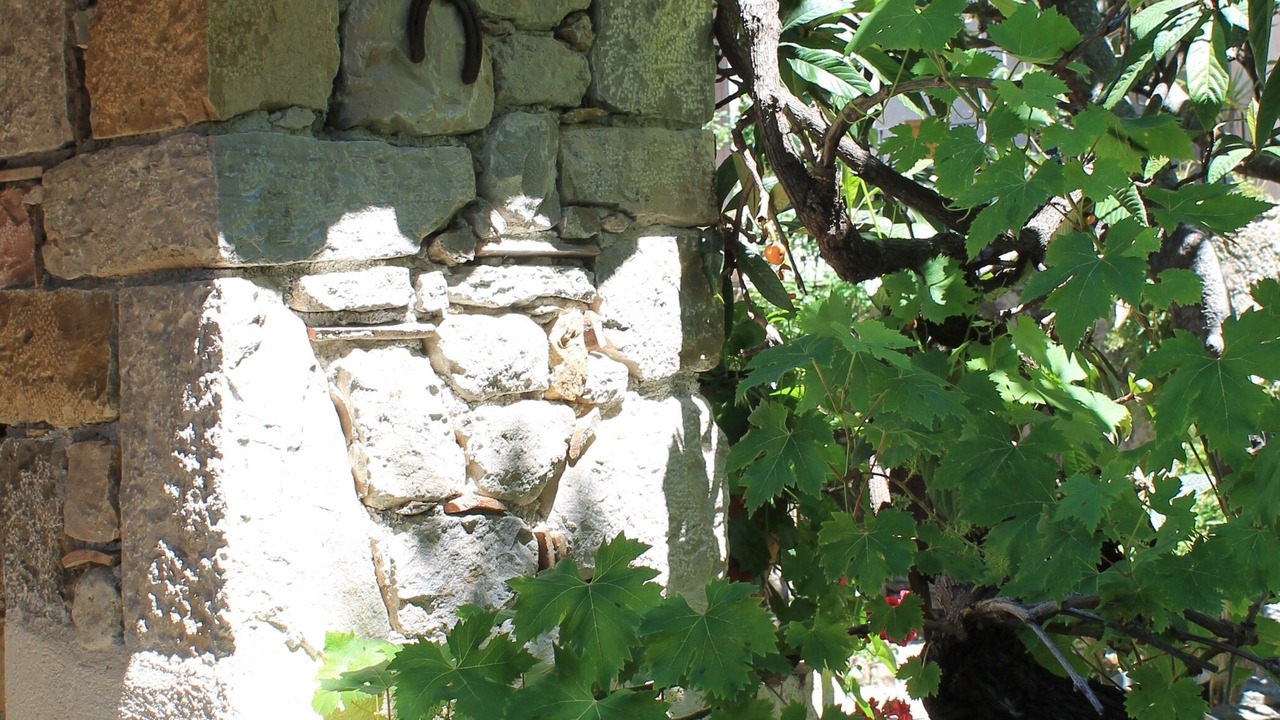 Photo of Outdoor in Seillans