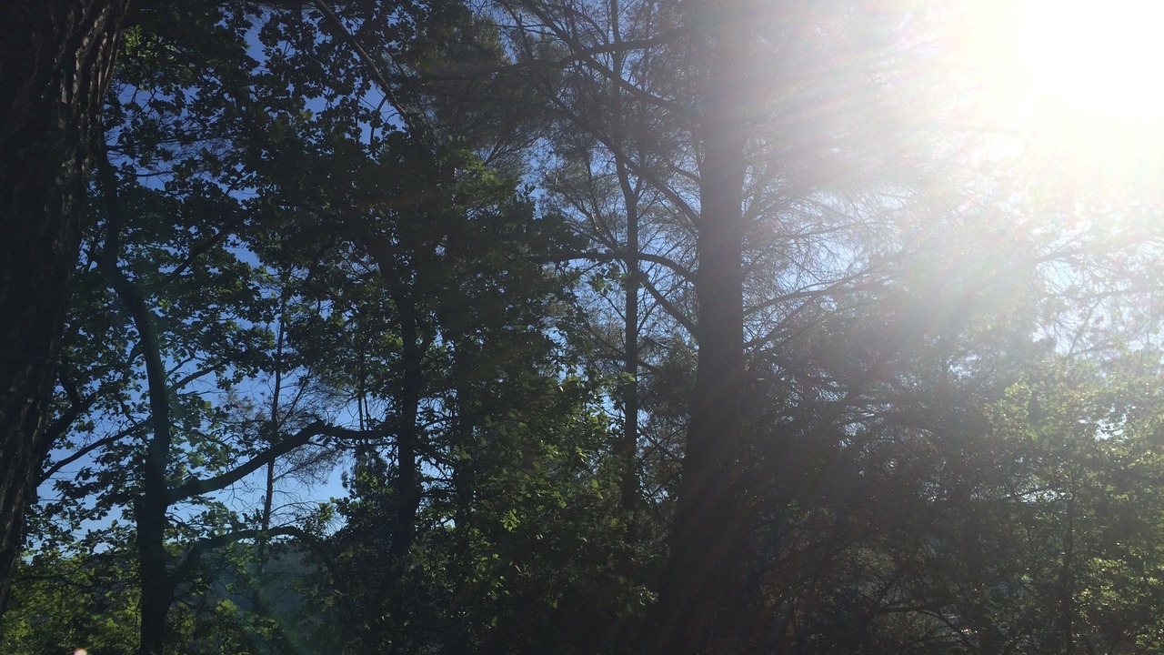 Photo of Outdoor in Flayosc