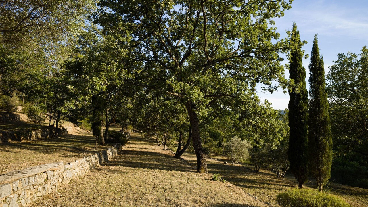 Photo of Outdoor in Lorgues