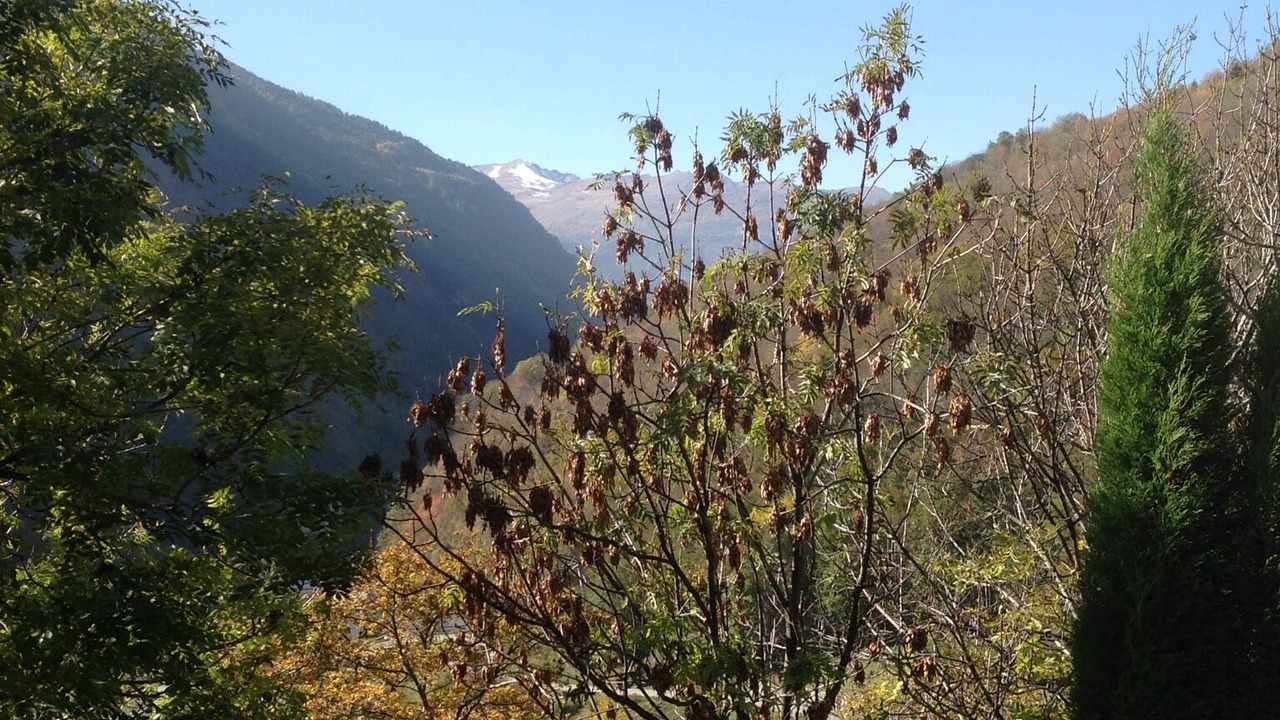 Photo of Outdoor in Orelle