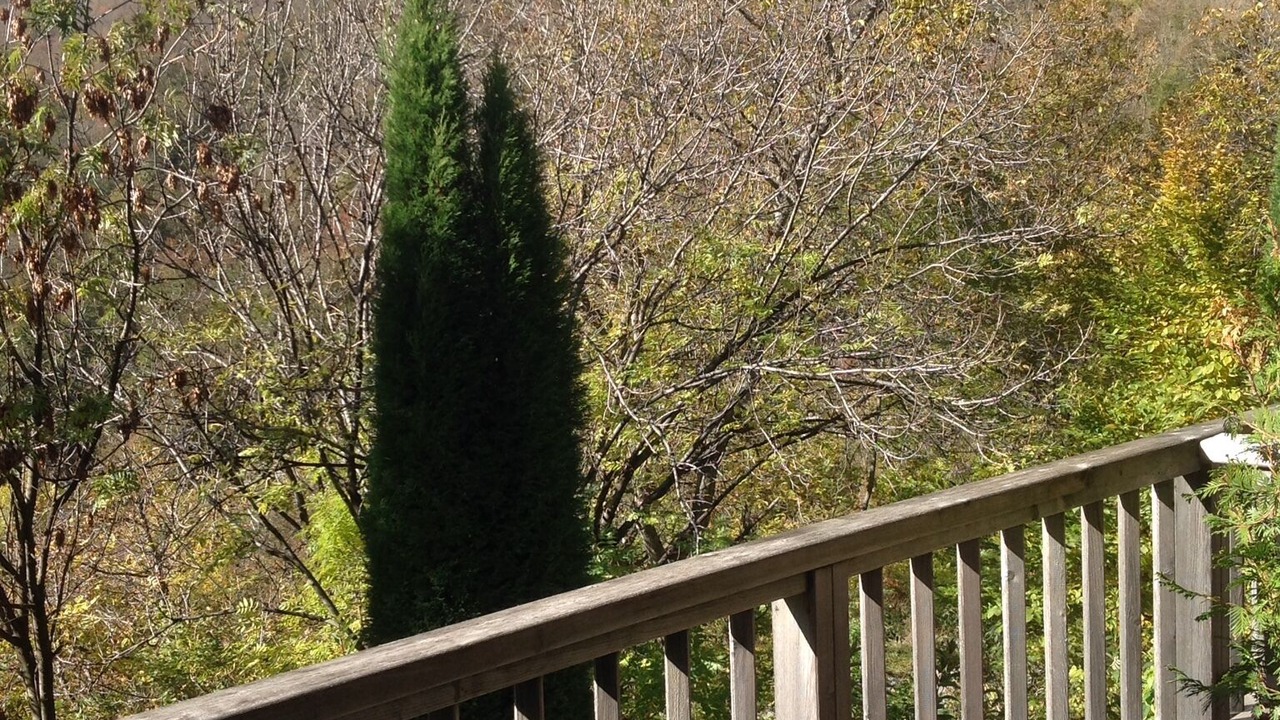 Photo of Outdoor in Orelle