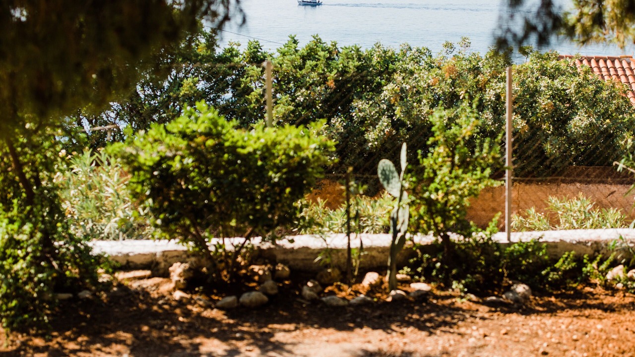 Photo of Outdoor in Vlikhos