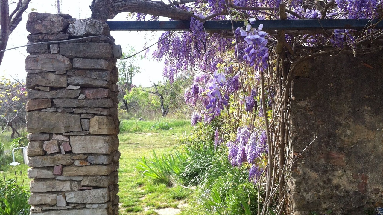 Photo of Outdoor in Entrecasteaux