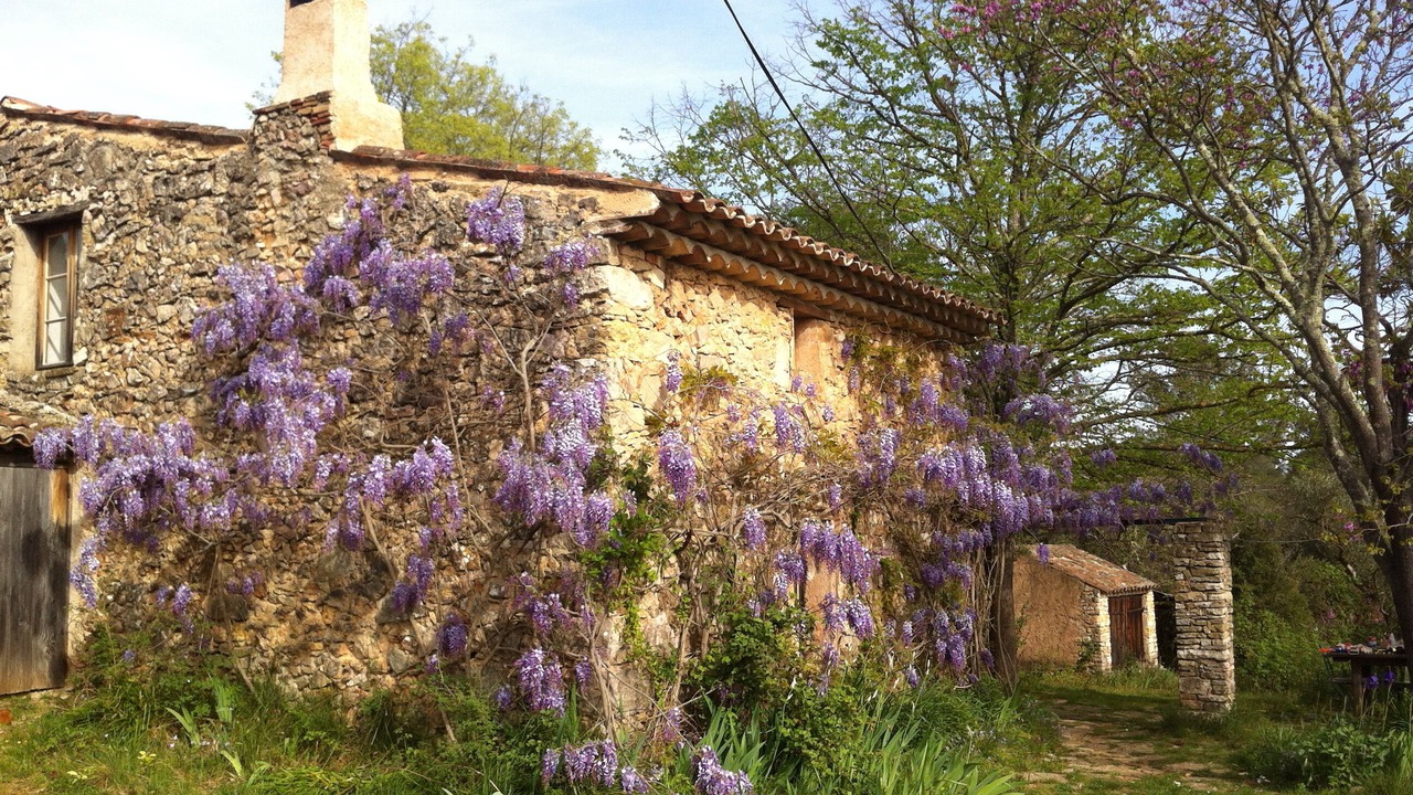 Photo of Outdoor in Entrecasteaux