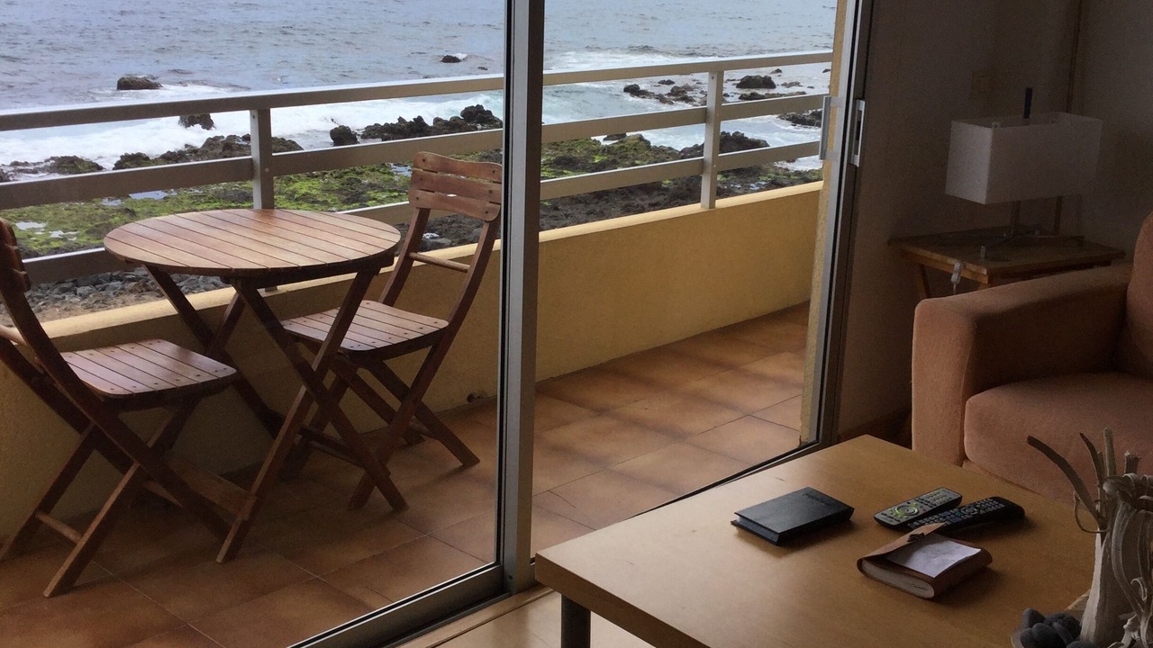 Photo of Others in Puerto de Guimar
