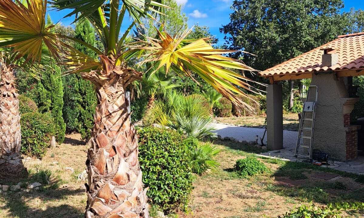 Photo of Outdoor in Callas