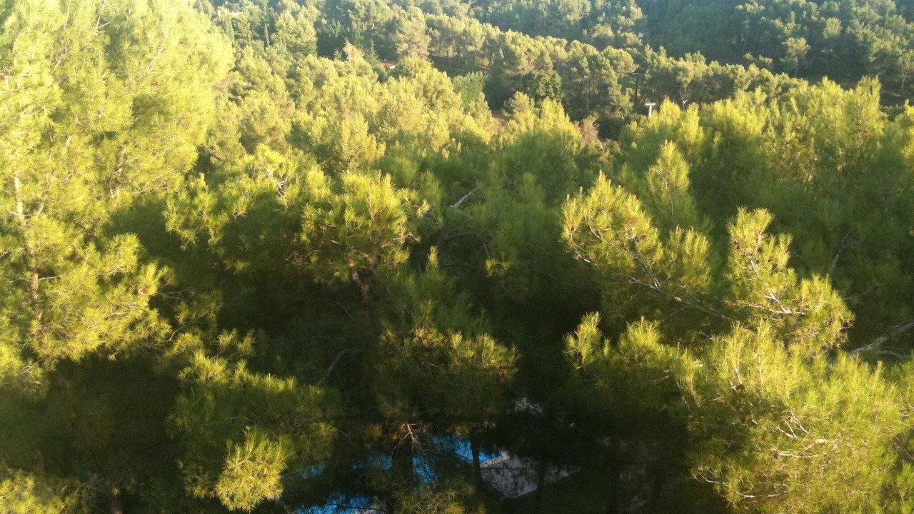 Photo of Others in Saint-Marc-Jaumegarde
