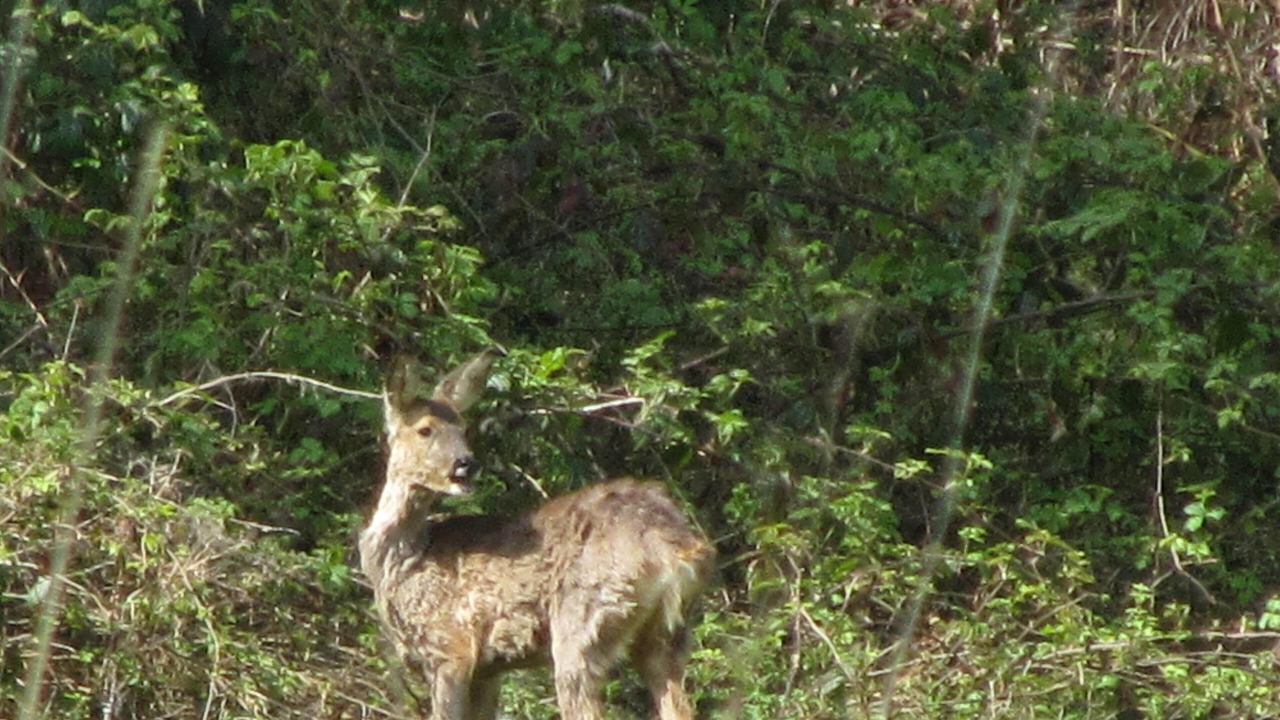 Photo of Outdoor in Vesdun