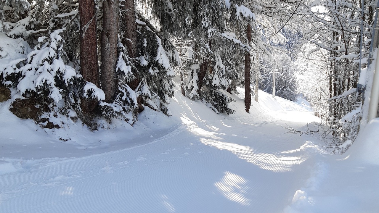 Photo of Outdoor in Arc-1600