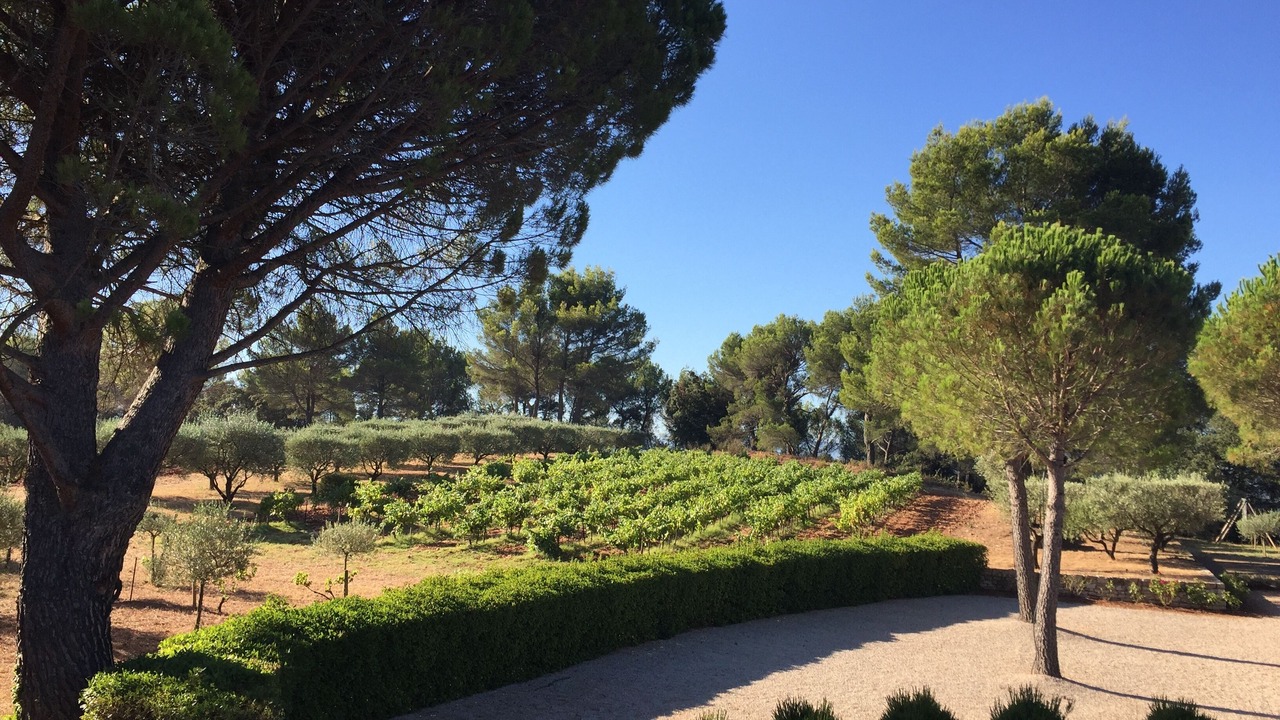 Photo of Outdoor in Rousset