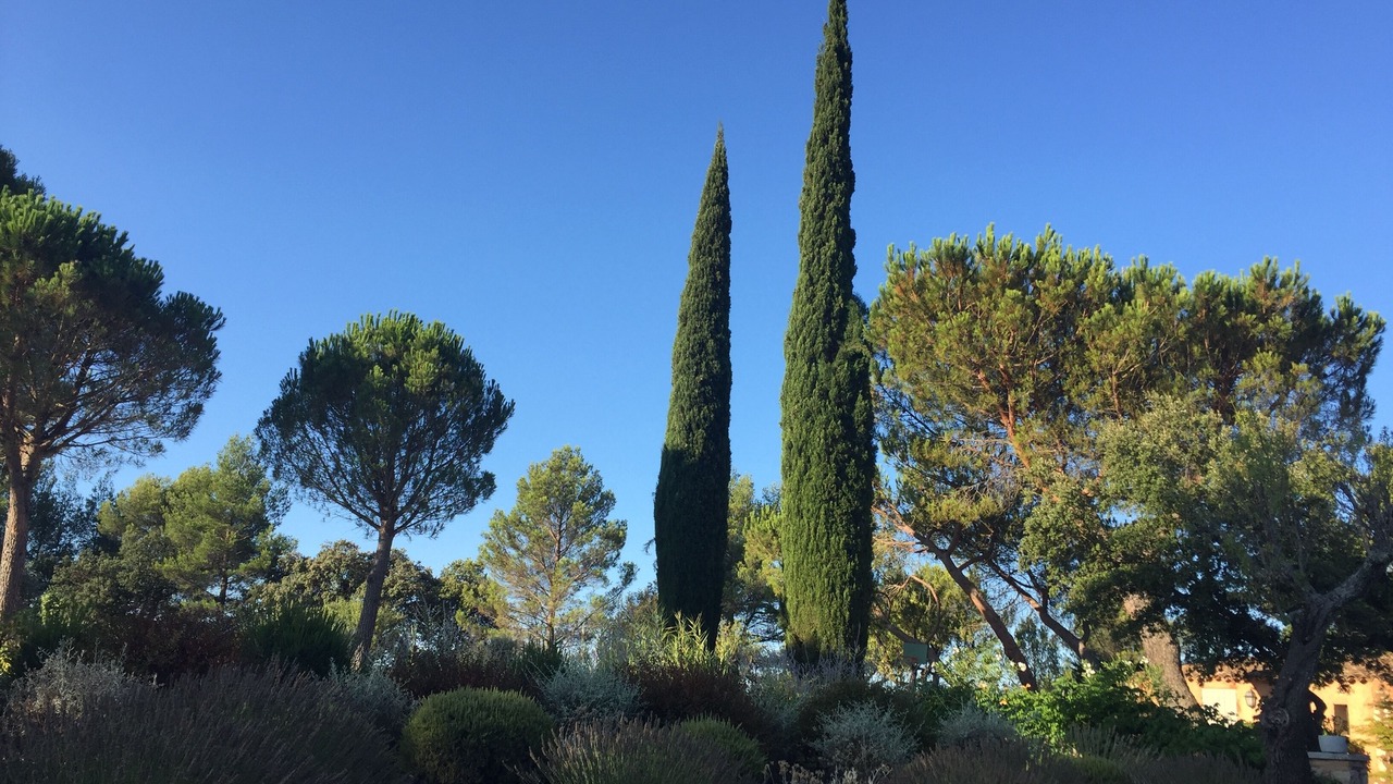 Photo of Outdoor in Rousset