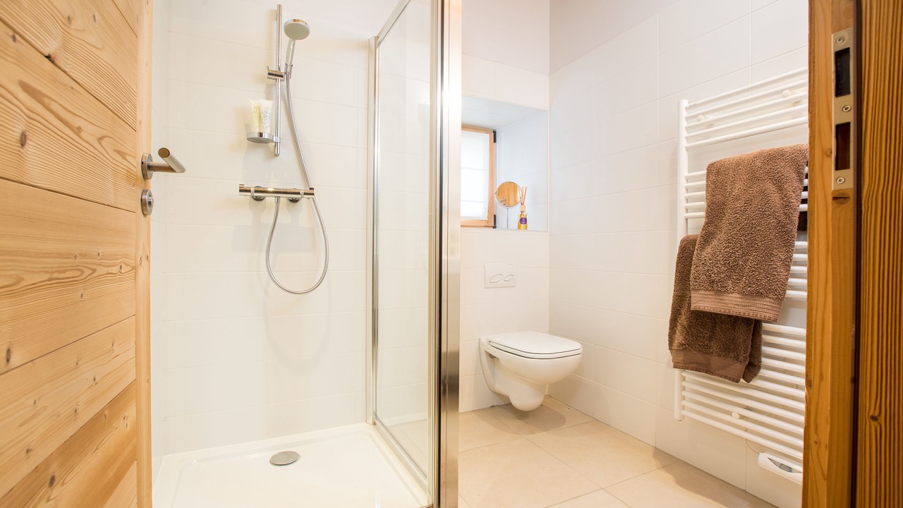 Photo of Bathroom in Sixt-Fer-a-Cheval
