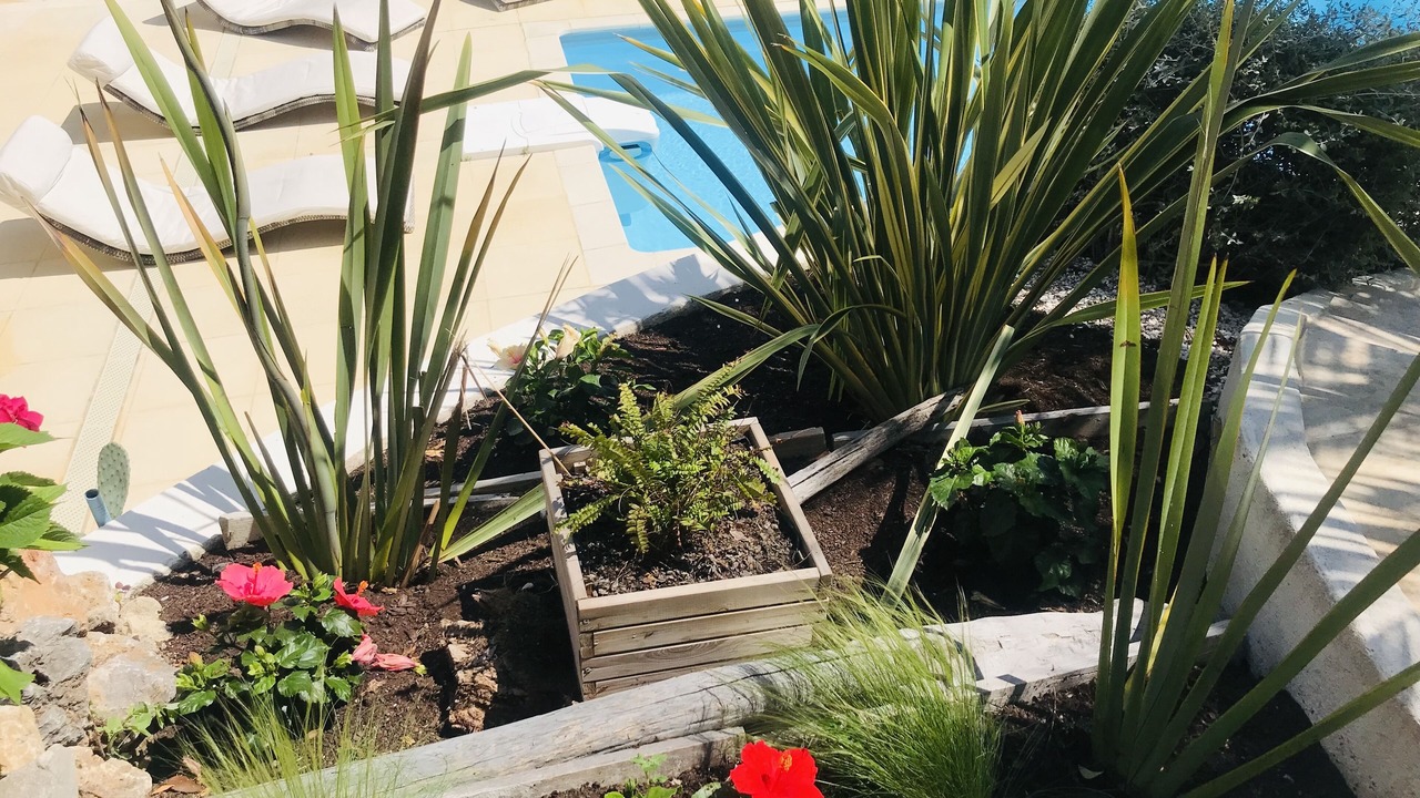 Photo of Outdoor in Sainte-Maxime