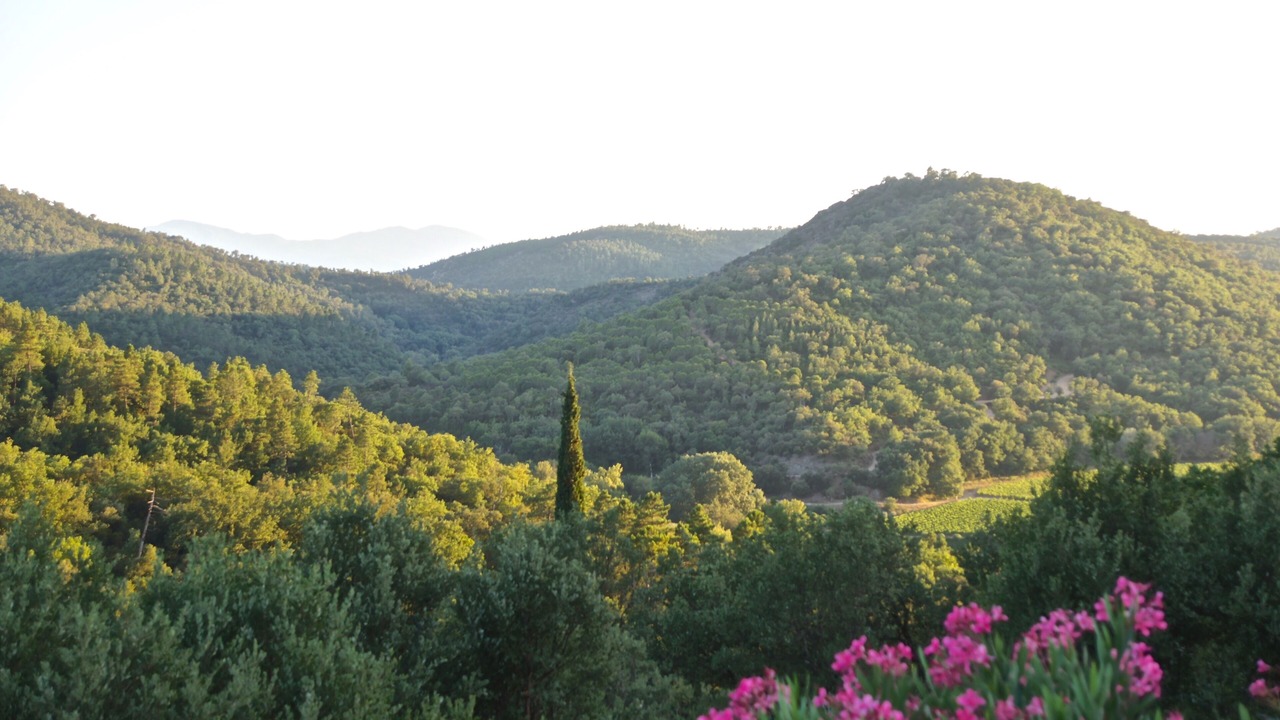 Photo of Outdoor in Les Arcs-sur-Argens
