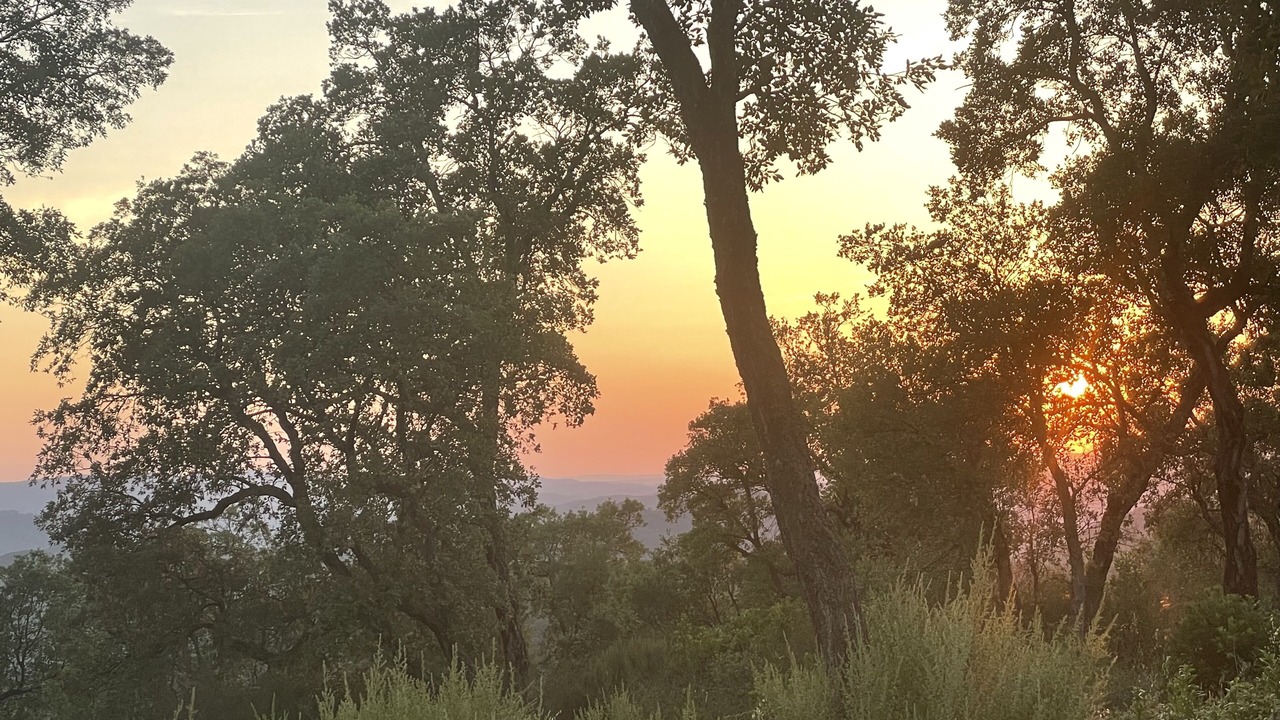 Photo of Outdoor in Les Arcs-sur-Argens