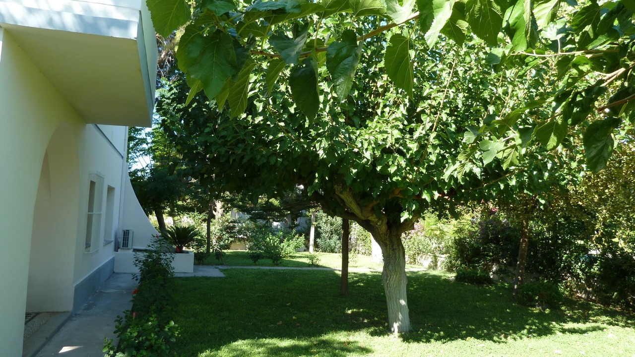 Photo of Outdoor in Faliraki