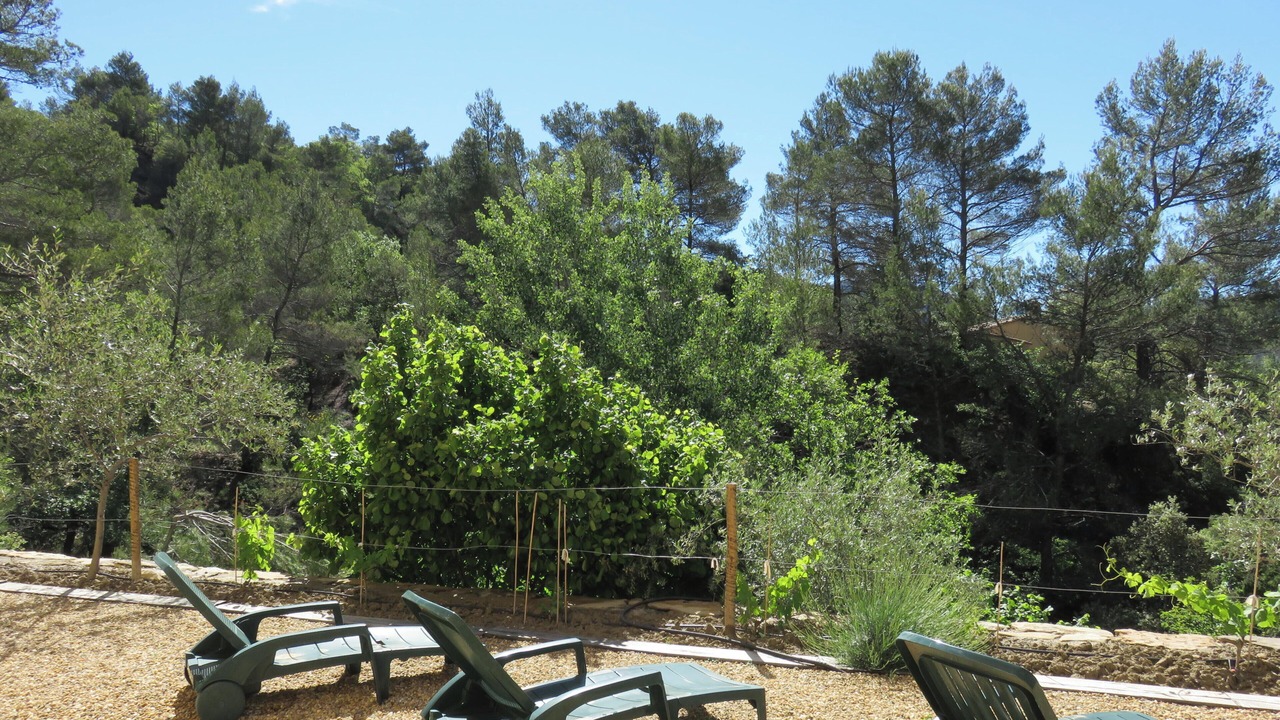 Photo of Outdoor in Eygaliers