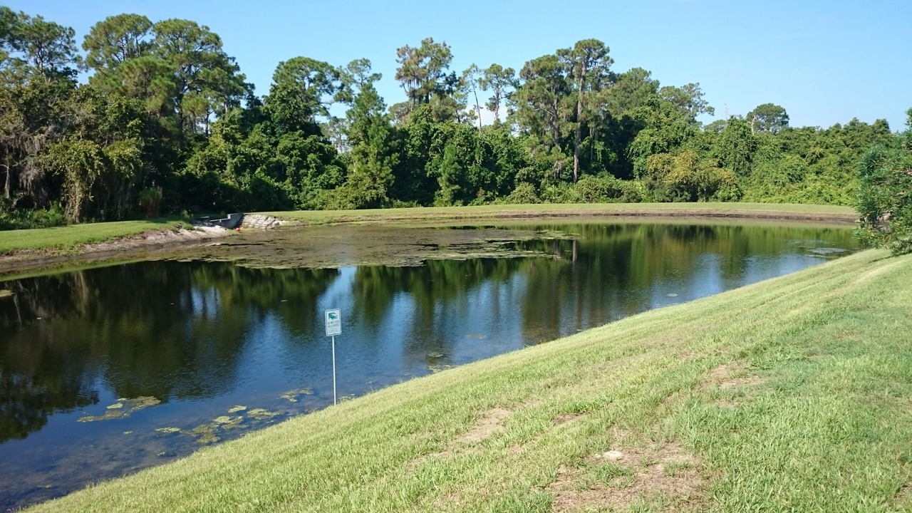 Photo of Others in Haines City