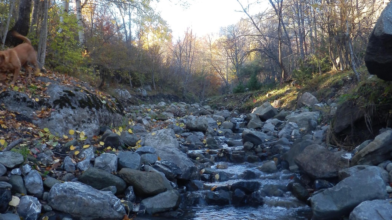 Photo of Outdoor in Saint-Jean-Saint-Nicolas