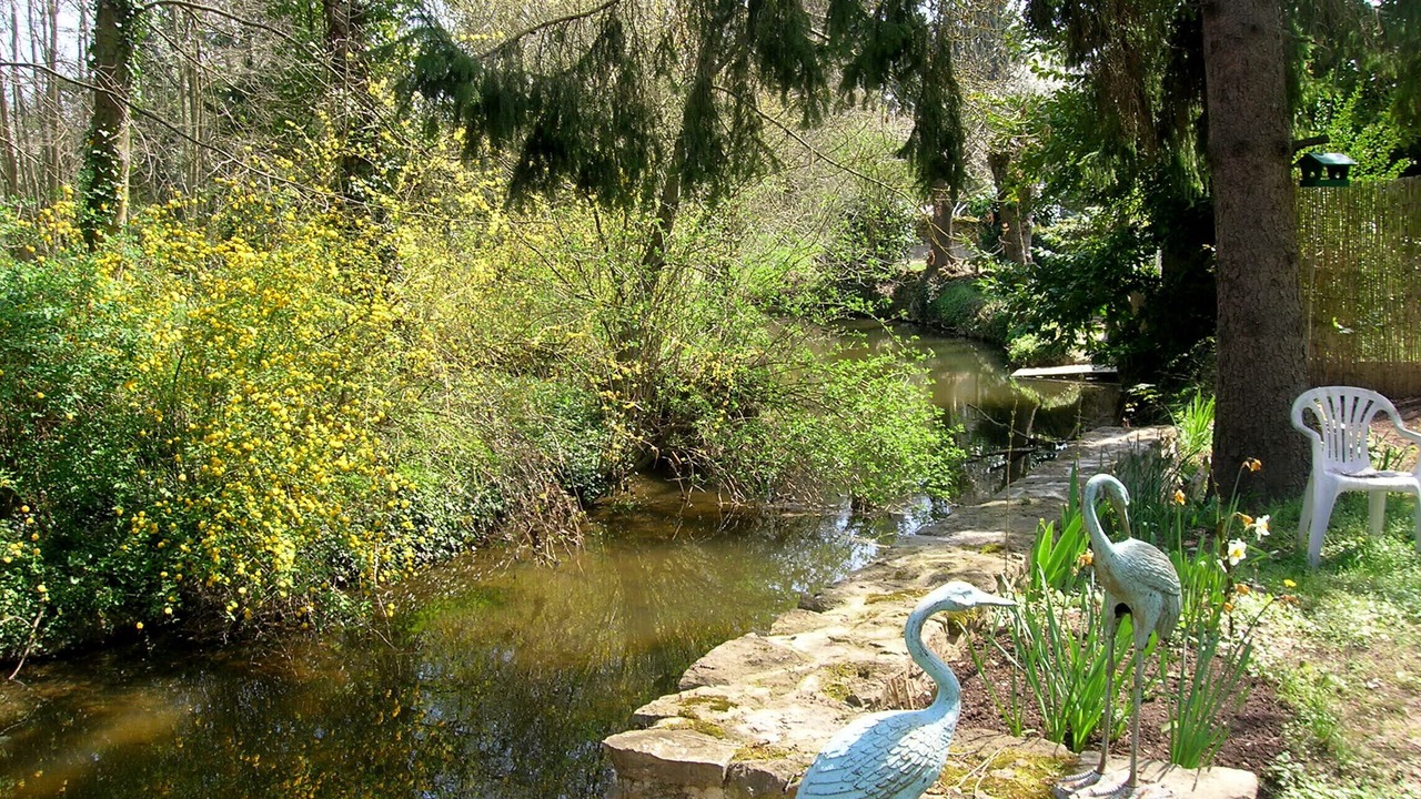 Photo of Outdoor in La Chatre