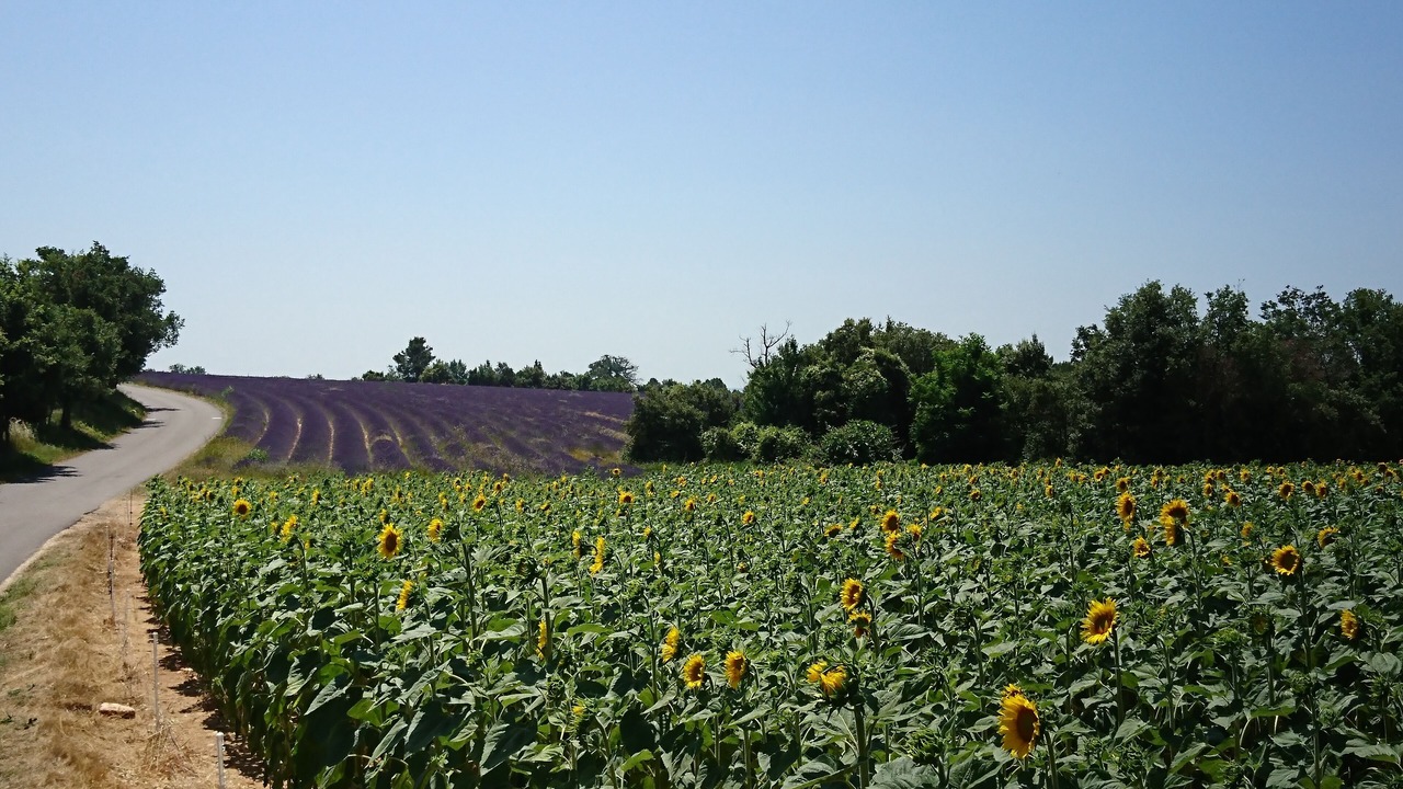 Photo of Outdoor in Salernes
